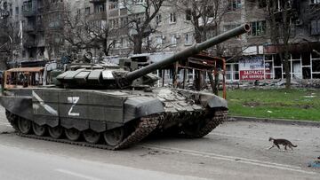 A cat walks next to a tank of pro-Russian troops in front of an apartment building damaged during Ukraine-Russia conflict in the southern port city of Mariupol, Ukraine April 19, 2022. REUTERS/Alexander Ermochenko