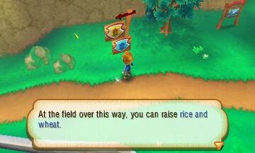 Captura de pantalla - Story of Seasons (3DS)