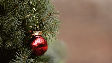 ¿Qué día se debe quitar el árbol de Navidad?