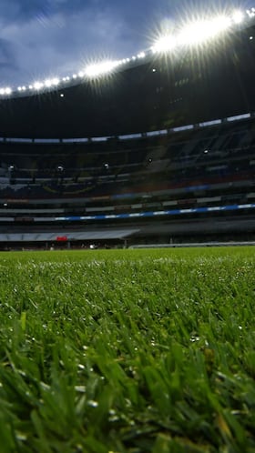 Está prohibida la entrada a la cancha del estadio Ciudad de México