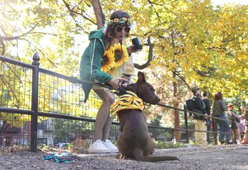 Tompkins Square Park es un parque de cuatro hectáreas del East Side de Manhattan en Nueva York donde se han reunido numerosos perros disfrazados para Halloween.