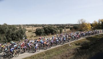 Victoria de Tim Wellens, en la quinta etapa