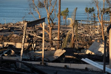 Imagen devastadora del barrio residencial Palisades que ha quedado totalmente destruido, por los incendios que  han arrasado ms de 15.000 hectreas en Los ?ngeles.