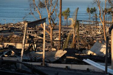Imagen devastadora del barrio residencial Palisades que ha quedado totalmente destruido, por los incendios que  han arrasado más de 15.000 hectáreas en Los Ángeles.