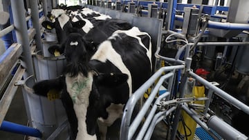 Planta de tratamiento y producción de leche de Alquería.
