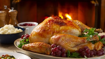 El pavo es uno de los platillos típicos para celebrar la Navidad, pero, ¿sabes por qué se come esta ave en las fiestas decembrinas? Así nació la tradición.