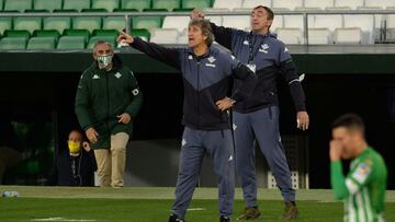 Pellegrini, en un partido. 