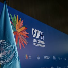 Cali y no Bogotá: revelan porque la capital del pacífico ha sido la ciudad elegida para la COP16