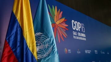 COP16 - Colprensa