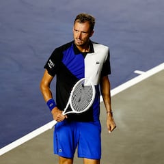 Medvedev y Norrie se citan en la final tras grandes sufrimientos