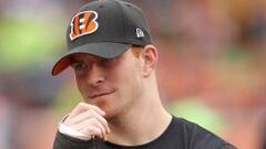  Andy Dalton, quarterback de Cincinnati Bengals, se rompi&oacute; el dedo y con ello las ilusiones de los aficionados Bengal&iacute;s. 