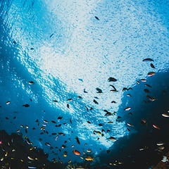 Los cinco mejores destinos para bucear en Semana Santa