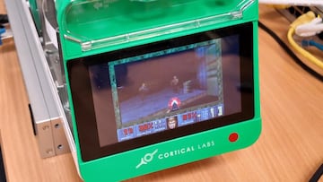 El cerebro humano puede ejecutar Doom: 200.000 neuronas vivas aprenden a jugar al legendario videojuego en un laboratorio