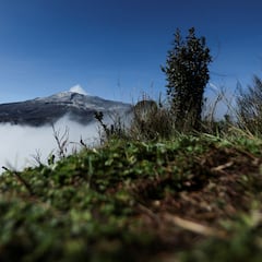 Volcán Nevado del Ruiz: cómo evoluciona la actividad y qué viene ahora