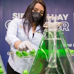 Resultados Lotería Nacional Chispazo hoy: ganadores y números premiados | 2 de noviembre