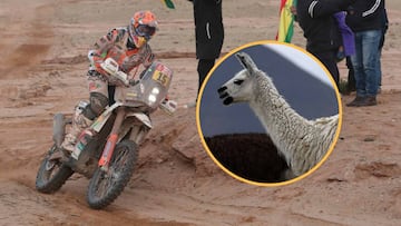 Laia Sanz en el Dakar y una llama.