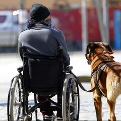 Pensión Básica Solidaria de Invalidez: monto en 2024 y beneficiarios