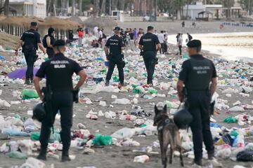 Las celebraciones de San Juan y la quema de los 'júas' son noches marcadas en el calendario de muchos. La llegada del solsticio de verano se celebra en toda la geografía española con ritos y tradiciones ancestrales.