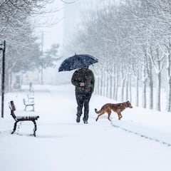 Así será la ola de frío polar en España