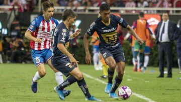 Chivas - Pumas en vivo: Liga MX, jornada 13 del Apertura 2019