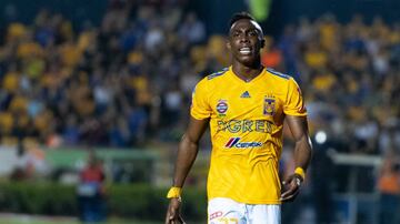 El delantero colombiano se perdió el Apertura 2019 por una lesión en la rodilla. El atacante regresaría para disputar este CL20 con los felinos. 