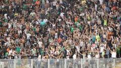 Aficionados del Atl&eacute;tico Nacional celebran un gol de su equipo durante el partido por la Copa Libertadores.