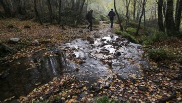 Dos senderistas recorren la ruta del Hayedo de Busmayor dentro de los Ancares Leoneses, a 27 de octubre de 2022, en El Bierzo, León, Castilla y León (España). El hayedo de Busmayor es uno de los bosques de hayas mejor conservados de toda España y cada año cuando llega el otoño la región montañosa se cubre del color cobre de las hojas que pierden las hayas en esta época del año.
27 OCTUBRE 2022;NATURALEZA;BOSQUE;ÁRBOLES DE HOJA CADUCA
Carlos Castro / Europa Press
27/10/2022