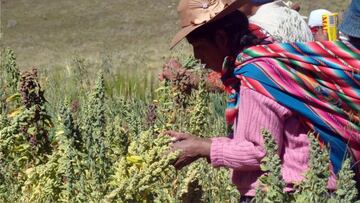 AgroMujer: fechas, montos, requisitos y cómo solicitar en junio