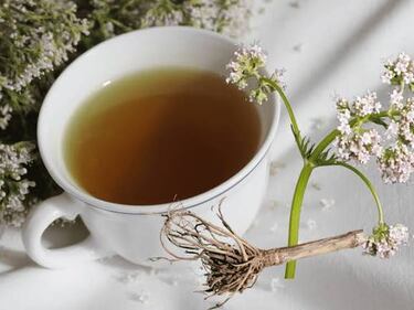 Expertos en salud revelan cuál es el té casero que mejora la calidad del sueño