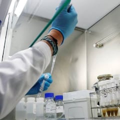 La vacuna española en la que hay "muchas esperanzas"