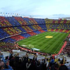 Mosaico espectacular: "La pelota nos hace campeones"