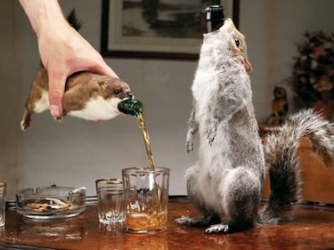 Es una cerveza icónica creada por BrewDog en el año 2010, tiene un 55% de volumen alcohólico. En ella, se utilizaron ardillas y comadrejas disecadas como funda. Su precio era de aproximadamente 700 dólares por botella lo que la convirtió en una de las cervezas más caras del mundo en ese momento. La producción fue limitada, con solo 12 botellas disponibles, lo que aumentó aún más su exclusividad.