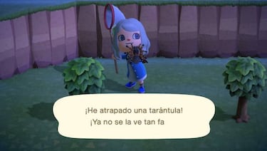 Animal Crossing: New Horizons: todos los bichos disponibles para cazar en abril [2020]