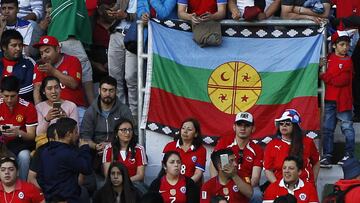 Polémica por las banderas mapuches en el Germán Becker