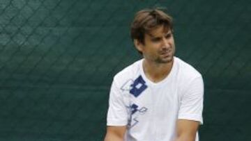 David Ferrer.