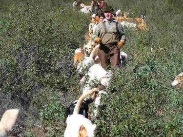 ¡Adelante mis valientes! La rehala