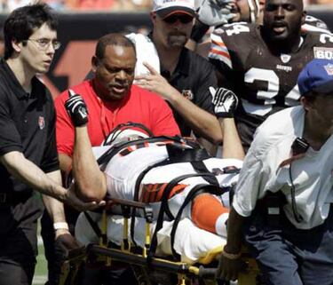 Toros bravos afeitados y toreros muertos