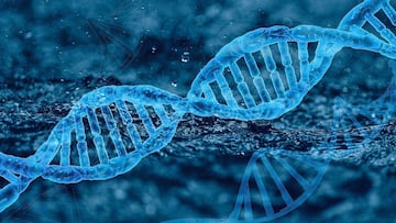 Scientific first: genetically male mammal turned female