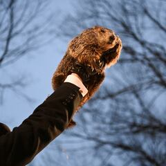 What is the name of the groundhog used for Groundhog Day?