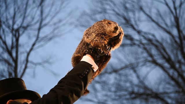 Today, Feb. 2, is Groundhog Day in the USA. What happened? Did Punxsutawney Phil see his shadow? Will Spring be here early or should we expect a long Winter?
