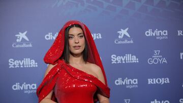 La influencer Dulceida posa en la alfombra roja previa a la gala de la 37 edici¨®n de los Premios Goya, en el Palacio de Congresos y Exposiciones FIBES, a 11 de febrero de 2023, en Sevilla, Andaluc¨ªa (Espa?a). La Academia celebra la calidad del cine espa?ol con la entrega de los Premios Goya, los m¨¢s importantes del cine espa?ol, a los mejores profesionales de cada una de las especialidades t¨¦cnicas y creativas. A lo largo de su historia, la Academia ha reconocido con el Goya, o con su nominaci¨®n, el trabajo tanto de t¨¦cnicos, profesionales an¨®nimos para el gran p¨²blico, como de grandes estrellas espa?olas e internacionales.
11 FEBRERO 2023;CINE;GOYA;DOCUEMNTAL;PELICULAS;CINE ESPA?OL
Mar¨ªa Jos¨¦ L¨®pez / Europa Press
11/02/2023