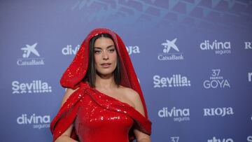 La influencer Dulceida posa en la alfombra roja previa a la gala de la 37 edición de los Premios Goya, en el Palacio de Congresos y Exposiciones FIBES, a 11 de febrero de 2023, en Sevilla, Andalucía (España). La Academia celebra la calidad del cine español con la entrega de los Premios Goya, los más importantes del cine español, a los mejores profesionales de cada una de las especialidades técnicas y creativas. A lo largo de su historia, la Academia ha reconocido con el Goya, o con su nominación, el trabajo tanto de técnicos, profesionales anónimos para el gran público, como de grandes estrellas españolas e internacionales.
11 FEBRERO 2023;CINE;GOYA;DOCUEMNTAL;PELICULAS;CINE ESPAÑOL
María José López / Europa Press
11/02/2023