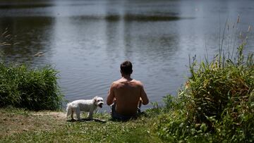It’s not only important you keep yourself cool and hydrated this summer; you need to keep a close eye on your dog, too.