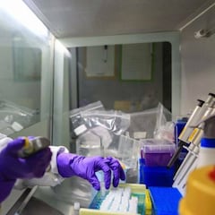 Coronavirus: vaccine human trials on Covid-19 begin in China