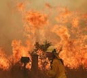 El mundo del surf, horrorizado por los incendios sin precedentes que azotan Australia