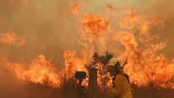 HILLVILLE, AUSTRALIA - NOVEMBER 13: RFS Firefighters battle a spot fire on November 13, 2019 in Hillville, Australia. Catastrophic fire conditions - the highest possible level of bushfire danger - have eased across greater Sydney, Illawarra and Hunter are