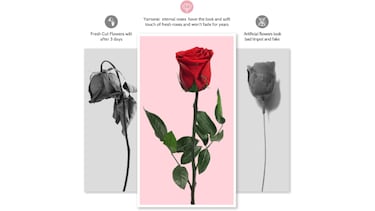 Una rosa que dura para siempre y otros regalos originales para ellas por San Valentín