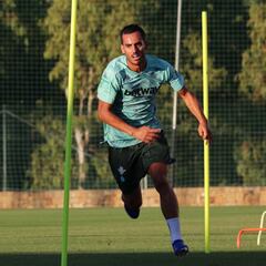 El Betis no suma más positivos
y pasa a las sesiones colectivas