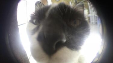 Polaroid Cosmo Z: Review