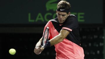 Del Potro - Nishikori en vivo online: Masters 1000 Miami